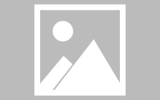 宜阳论文网站建设（网站建设的论文）